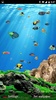 Aquarium Live Wallpaper screenshot 11