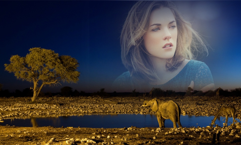 Wildlife Photo Frame - Preview 4