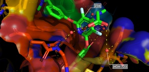 PyMOL feature