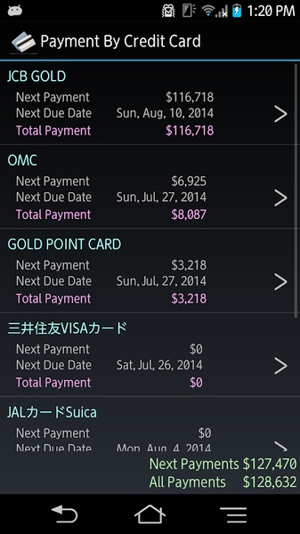 Credit Card Payment Checker - Preview 1