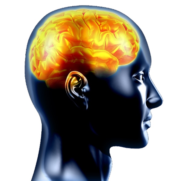 Brain Training - Preview 6