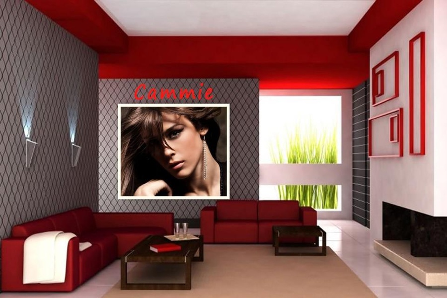 Home Interior Photo Montage - Preview 5