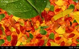 Autumn leaves 3D LWP screenshot 5