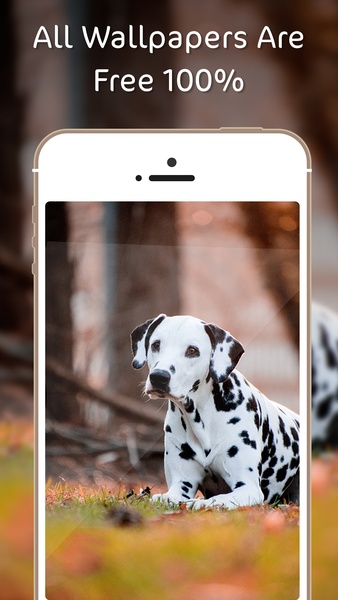Dog Wallpapers (HD) - Preview 6