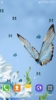 Butterfly Live Wallpaper screenshot 6