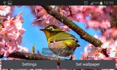 Sakura Garden Live Wallpaper screenshot 4