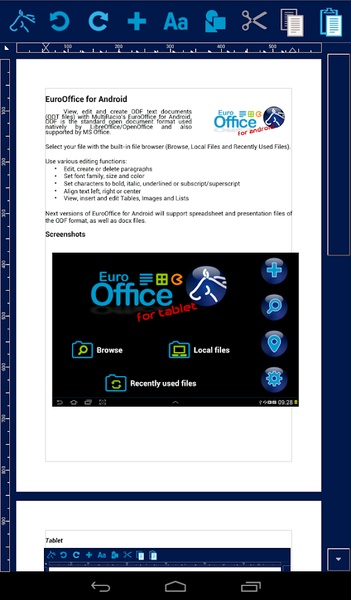 EuroOffice Words - Preview 8