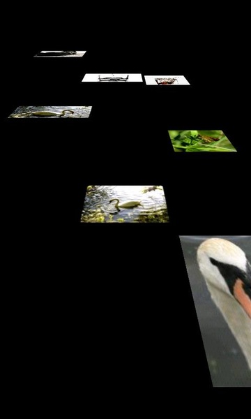 Floating Image - Preview 4