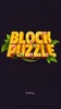 Block Puzzle screenshot 10