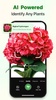 PlantThis screenshot 7