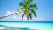 Nature Wallpapers screenshot 5
