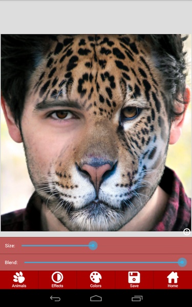 AnimalFaces - Preview 1