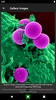 Bacteria screenshot 5
