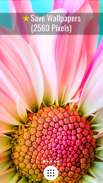 Flowers HD Wallpapers - Preview 5