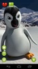 Talking Pepe Penguin screenshot 3