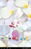 3D Petals Live Wallpaper screenshot 2