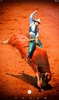 Bull Rodeo Live Wallpaper screenshot 4