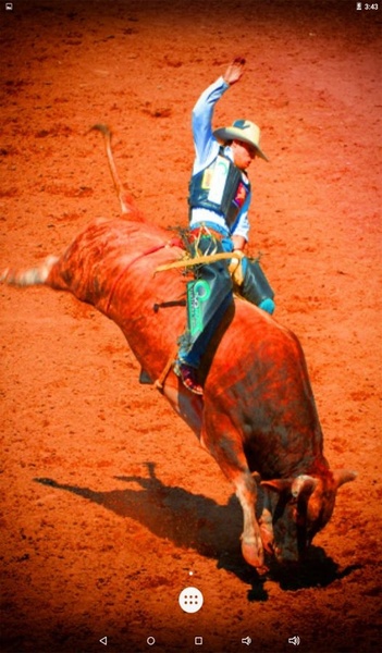 Bull Rodeo Live Wallpaper - Preview 4