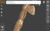 3D Anatomy for the Artist screenshot 8