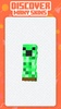 Mini Skins for Minecraft screenshot 4