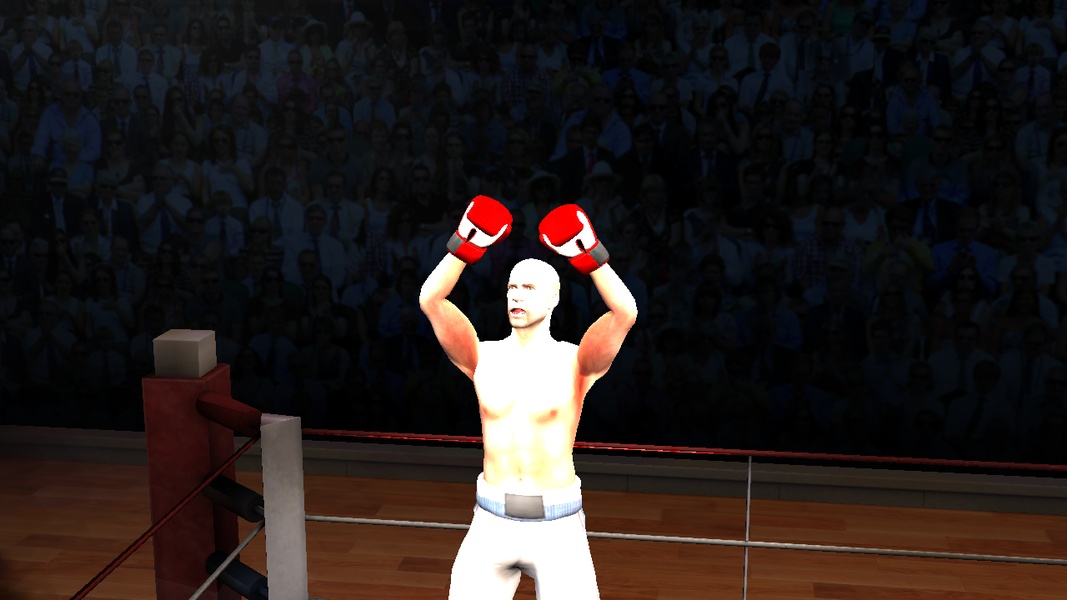 Boxing King - Star of Boxing - Preview 18