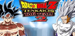 Dragon Ball Z Tenkaichi Tag 2 feature