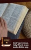 English Bible ASV offline screenshot 17