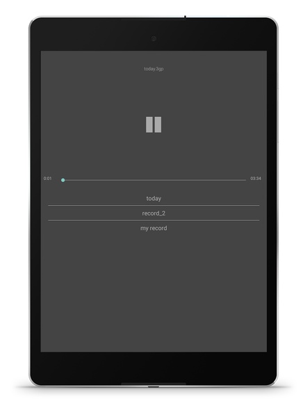 Recorder - Preview 12