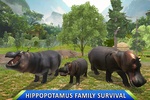 Wild Hippo Beach Simulator screenshot 19
