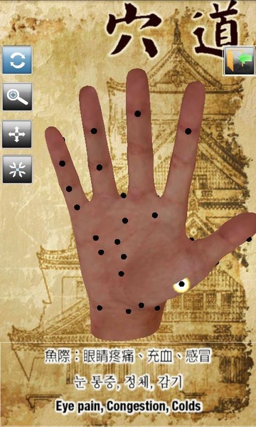 Handpoint - Preview 5