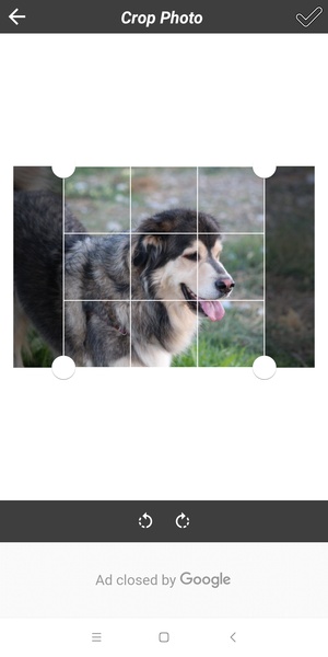 Rain Photography - Preview 6
