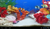 -=Tropic fishes aquarium=- screenshot 7