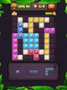 Block Puzzle Level screenshot 5