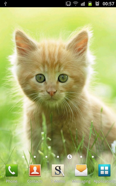 Cute Kittens Wallpapers - Preview 3