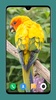 Parrot Wallpapers 4K screenshot 10