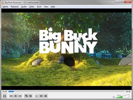 Portable VLC Media Player screenshot 1