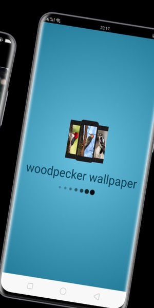 woodpecker wallpaper - Preview 1