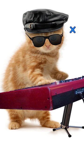 Talking, Dancing Cat. - Preview 6