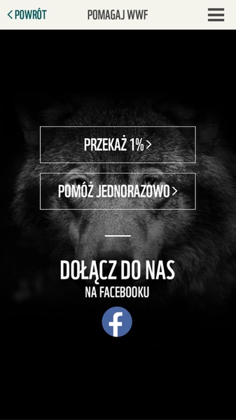 WWF Poradnik - Preview 4