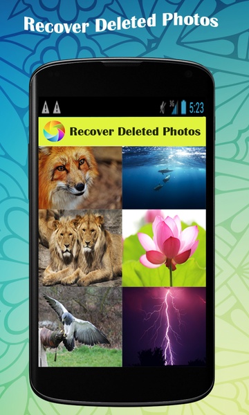 Recover My Deleted Photos - Preview 6