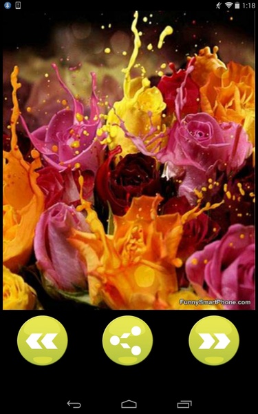Impossible Photoshop - Preview 7