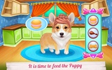 Cute Corgis Caring and Dressup screenshot 2