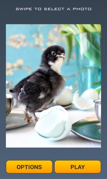 Cute Chicks Puzzle - Preview 1