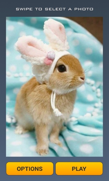 Cute Rabbits Puzzle - Preview 7