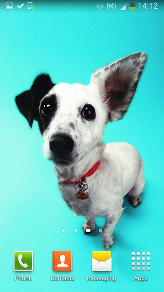 Cute Dogs Live Wallpaper - Preview 4