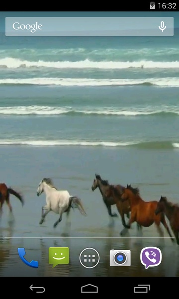 Amazing horses - Preview 2