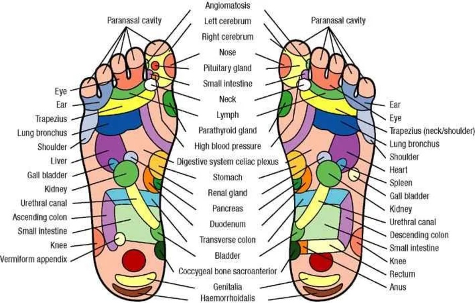 Foot Reflexology - Preview 3