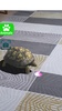 AR 3D Animals screenshot 1