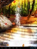 Forest Waterfall Live Wallpaper screenshot 2