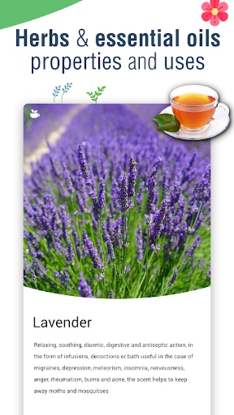 Natural Remedies - Preview 21